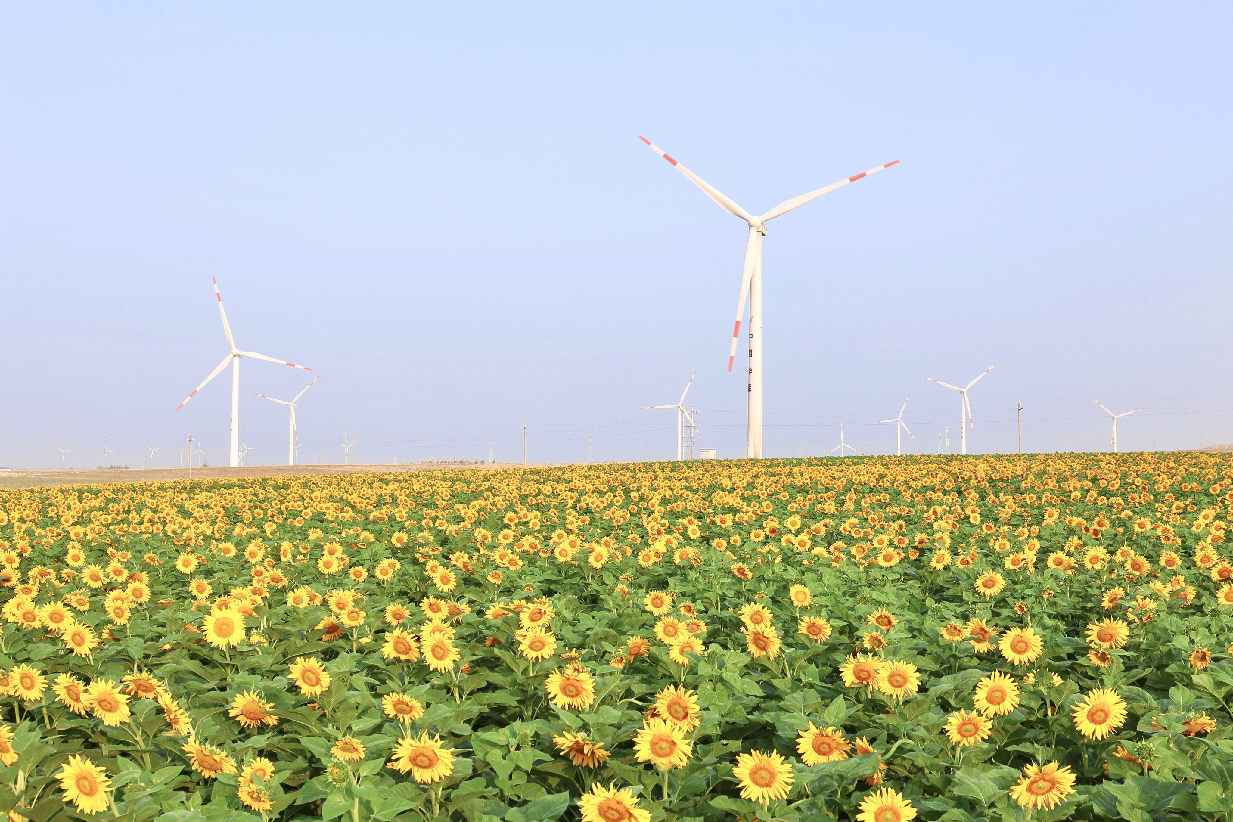 新宝GG股份助力推动风电场控制手艺国际研发项目顺遂实验