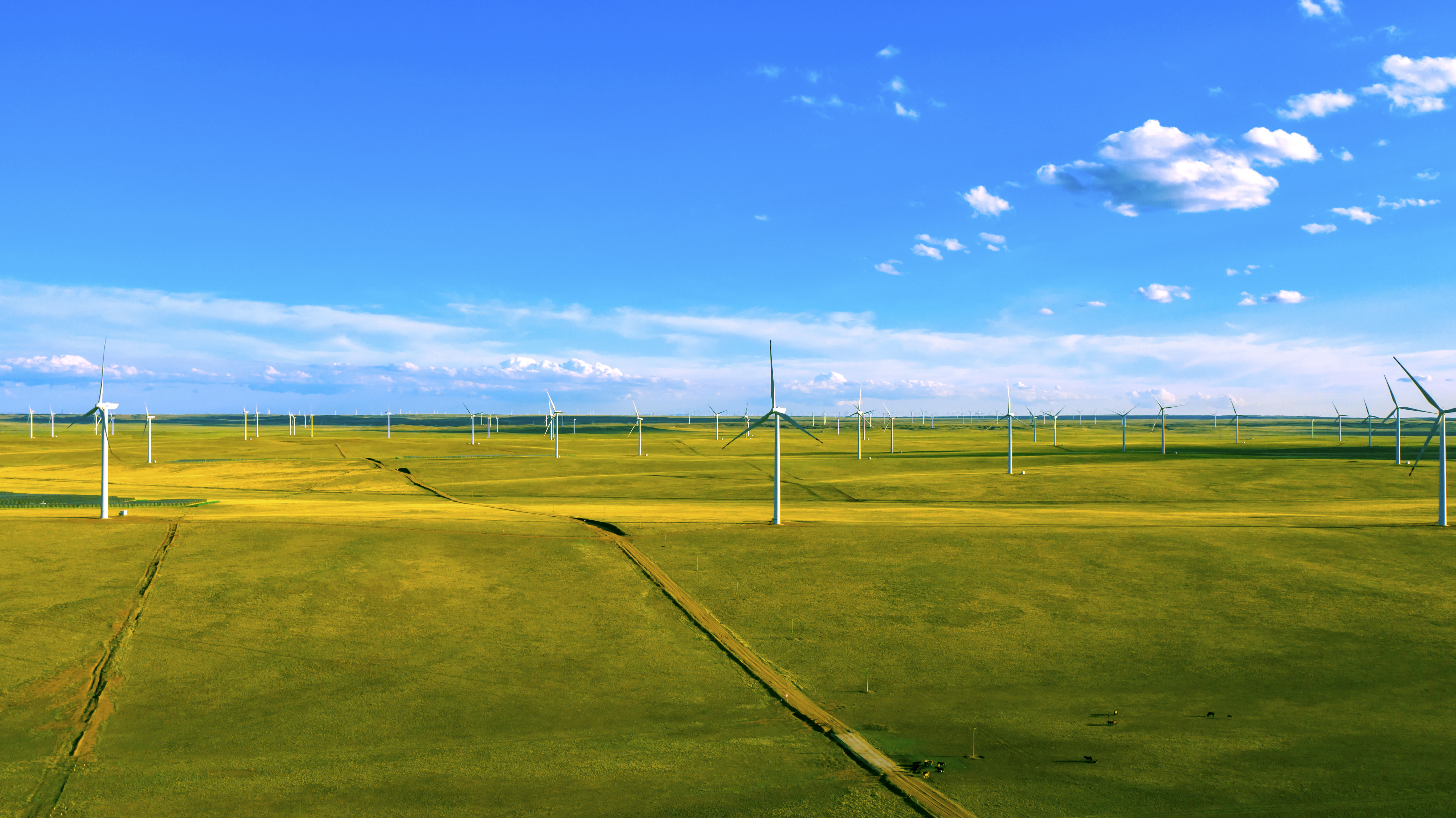 一图读懂 | 新宝GG股份2023年情形、、社会与公司治理（ESG）报告